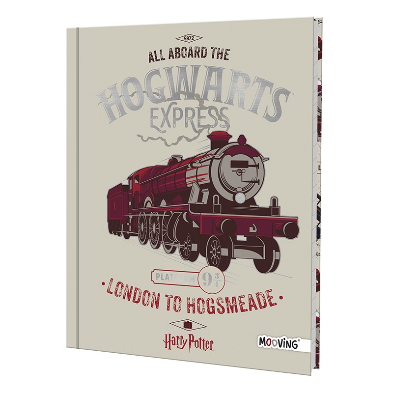 CUAD.T/DURA 48HR.HARRY POTTER