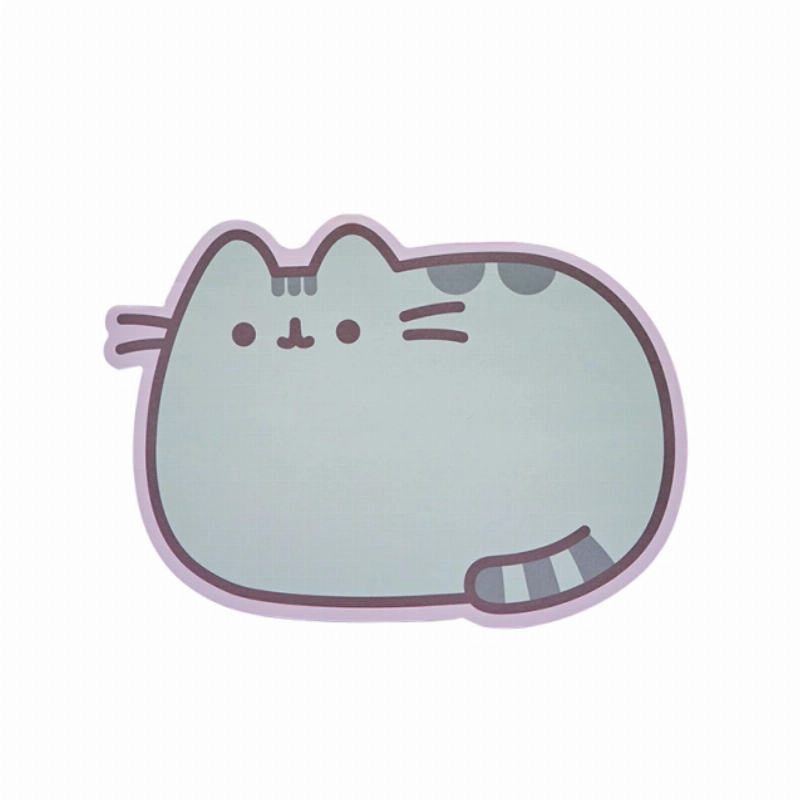 LIBRETA A5 NOTEPAD C/IMAN PUSHEEN