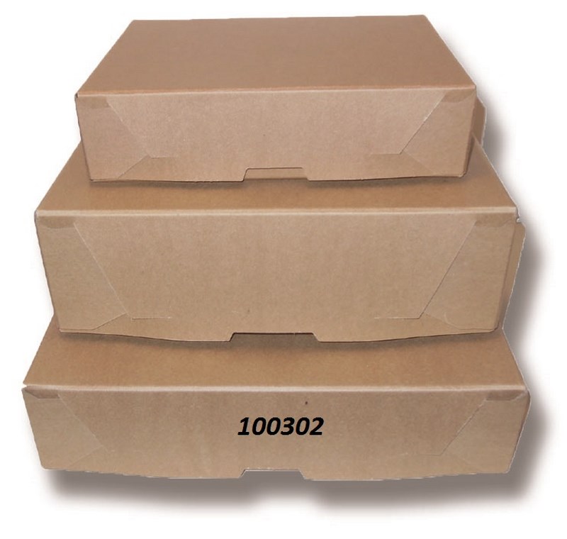 CAJA ARCHIVO 12cm.LEGAJO REFORZADA FIBRACAP