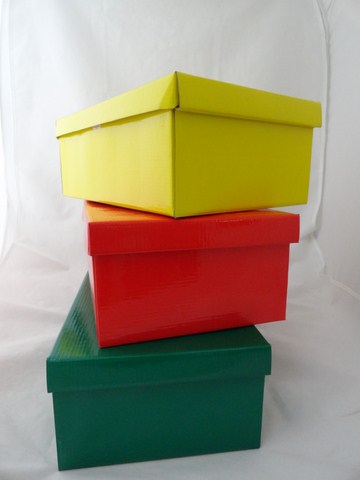 CAJA PLASTIF.MICRO CHICA 30.2x21x12cm.(10 col.)