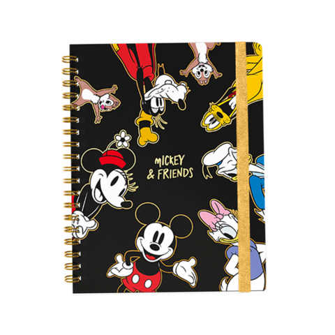 CUAD.16x21 C/ESP.80HR. T/D. MICKEY & FRIENDS