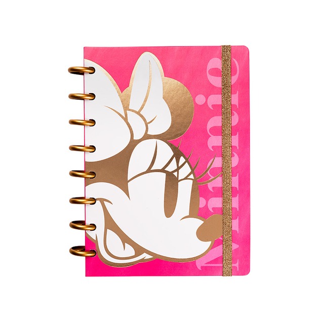 CUAD 16x21 T/D INTEL. 80hj. MINNIE MOUSE MOOVING