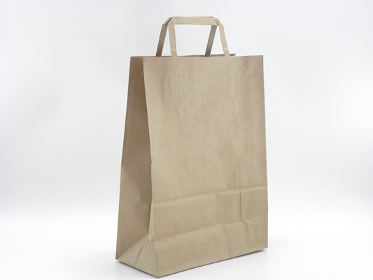 BOLSA REG.C/MJA.22x30x10cm.A.KRAFT