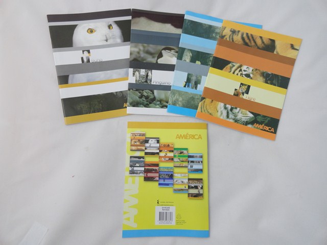 CUAD.24HR.T/FLEX.AMERICA