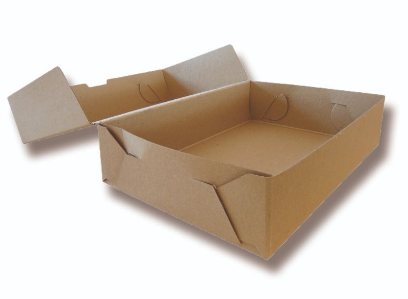 CAJA ARCHIVO OF. 12cm MICROCORRUG. TANDIL
