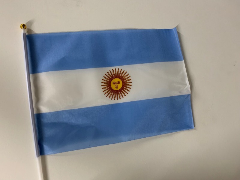 BANDERA PLÁST.N* 3 C/SOL 15x21cm.