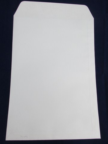 SOBRE BOLSA BCO.90grs.23x32cm.x100u.