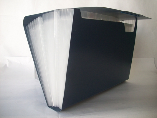 CLASIFICADOR A4 31 DIV. LAMA