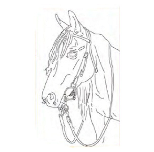 BASTIDOR ENT.40x60cm.PERFIL CABALLO