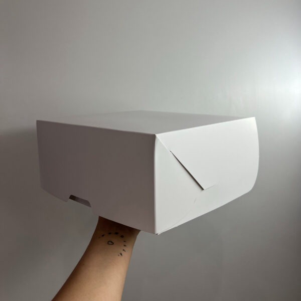 CAJA BLANCA  S/VISOR 25x25x11cm. 