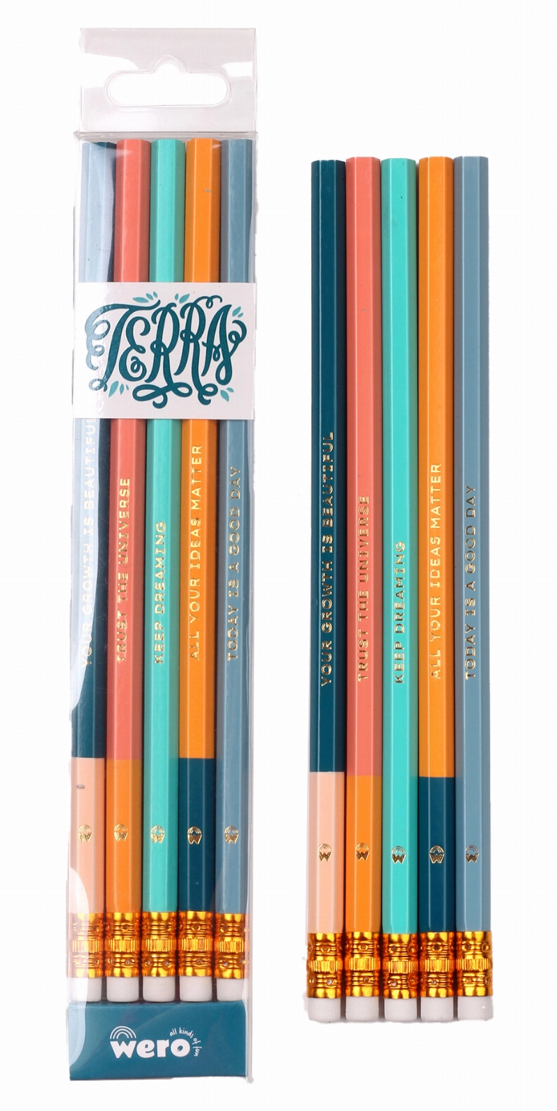 LAPIZ NEGRO C/ GOMA TERRA x5u.