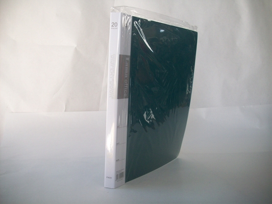 CARPETA A4 20 FOLIOS T/PVC LAMA