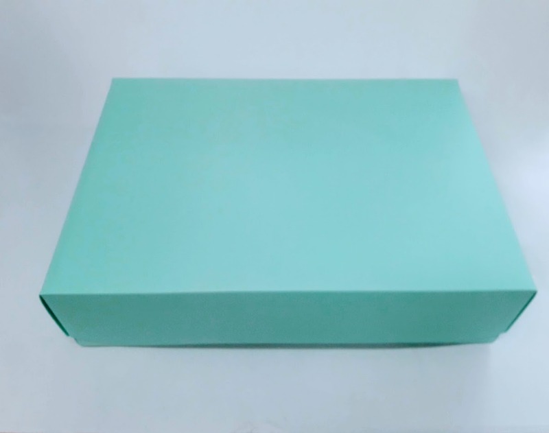 CAJA  AQUA 29x40x10cm. EXTRA LARGE