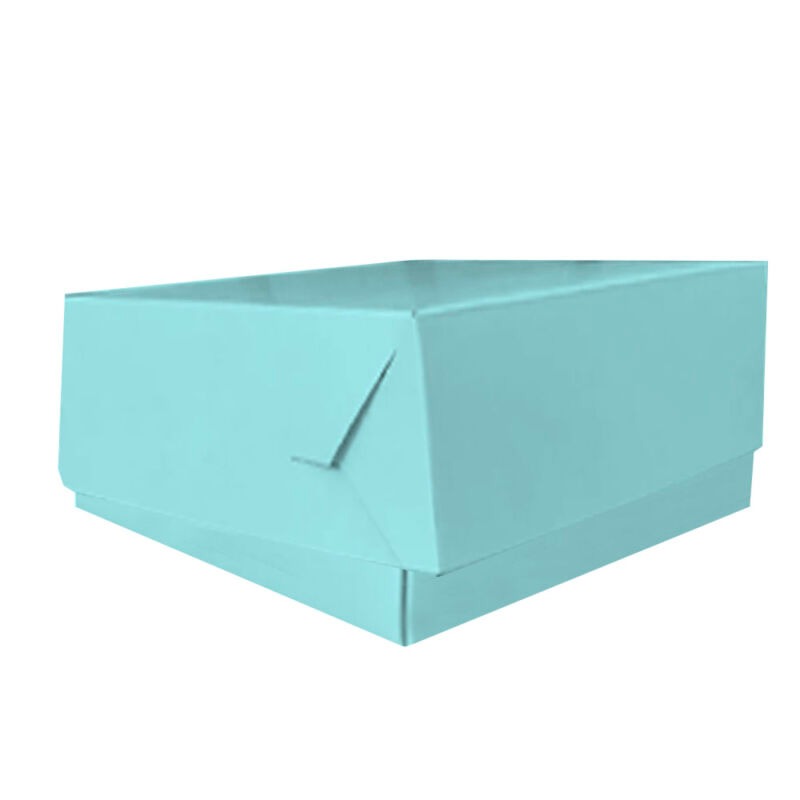 CAJA  AQUA 30x30x13cm. (TORTA)