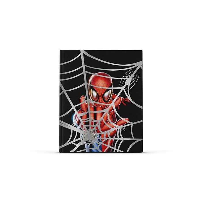 CUAD.T/DURA  19.5 x 24 48HR.SPIDERMAN