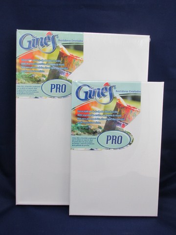 BASTIDOR ENTELADO 30x60cm.GINES
