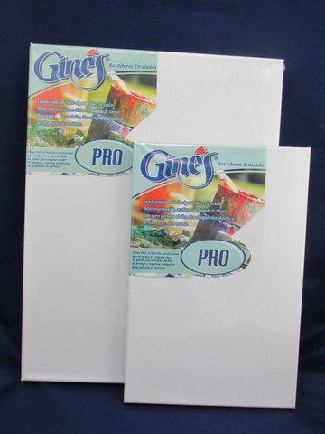 BASTIDOR ENTELADO 40x70cm.GINES