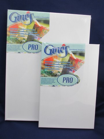 BASTIDOR ENTELADO 50x100cm.GINES