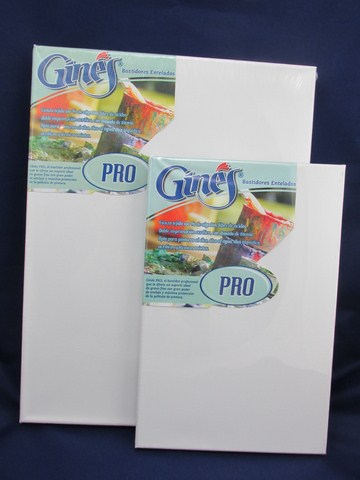 BASTIDOR ENTELADO 50x120cm.GINES