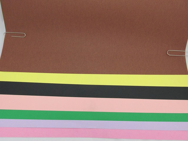PAPEL P/DIB.160grs.50x70cm.ERIKA 220 TEXT.