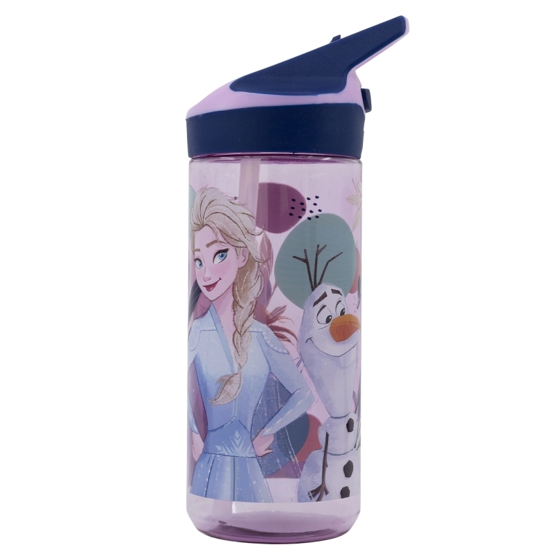BOTELLA DE AGUA FROZEN 580ml. ECOZEN