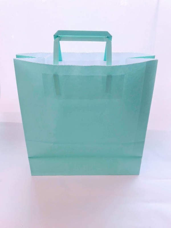 BOLSA REG.C/MJA.31x33x11cm.A.AQUA