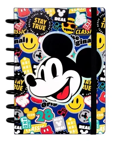 CUAD 16x21 T/D INTEL. 80hj. RAY. MICKEY MOOVING