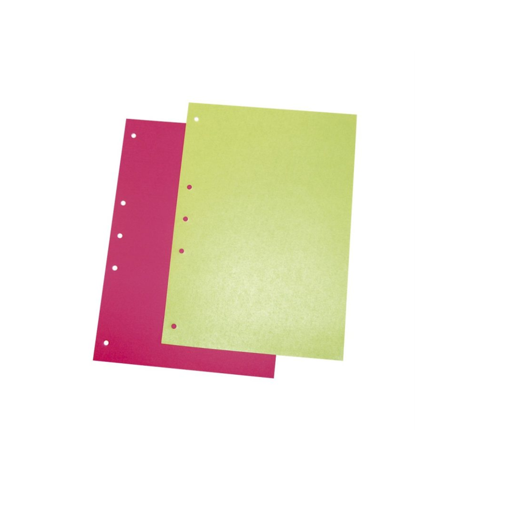 SEP.A4 CARTULINA COLOR x1hj. 1028