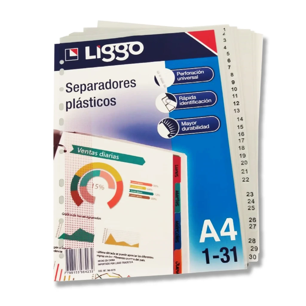 SEP.A4 x31div.PLASTICO LIGGO