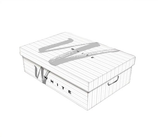 CAJA CHICA BLANCA 31x22x12  INK DROP