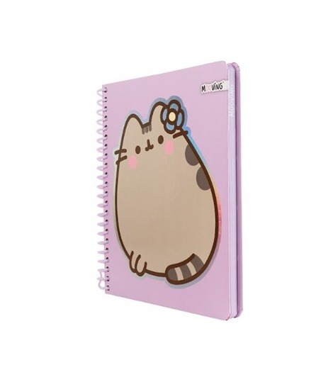 CUAD.1/2 OF. C/ESP.96HR. T/D. PUSHEEN